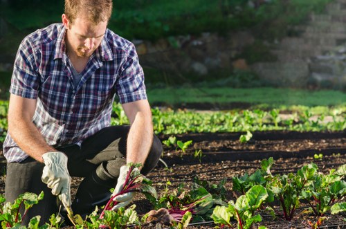 Gardeners sorting green waste into separate bins at a Sutton garden