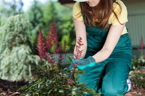 Man and van preparing for a garden clearance