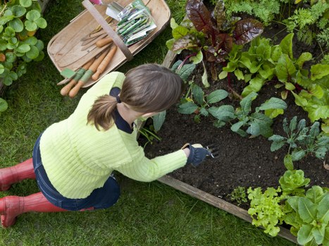 Risk assessment checklist on clipboard at a garden site