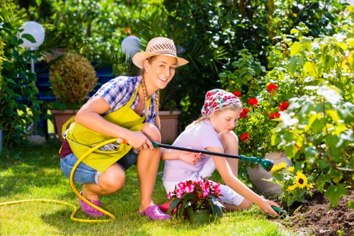Mower cutting a neat lawn in a Sutton residential garden