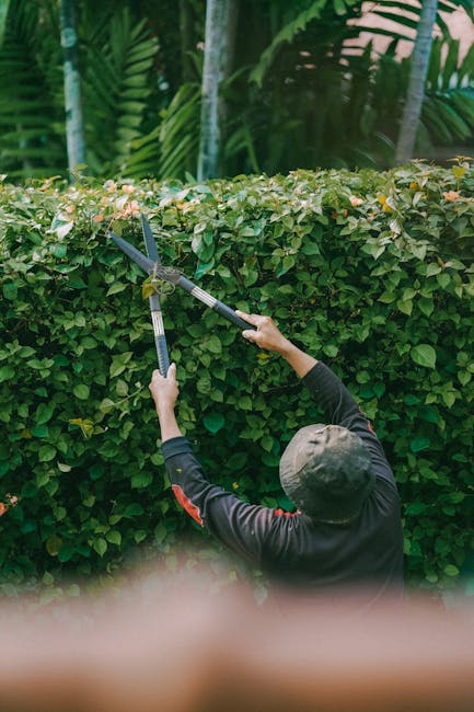 A male gardener wearing a safety helmet and protective gloves is operating an orange chainsaw on a garden lawn. He is dressed in a black t-shirt with the Siemens logo, and grey work trousers. The surr