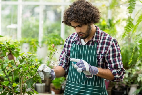 Expert gardeners planning a landscape redesign